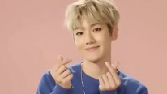 边伯贤(EXO),EXO - I Really Love Baekhyun