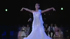舞蹈视频 - 瓦莱利奥和尤里娅的维也纳表演