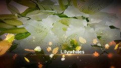 音乐短片 - 清明花语