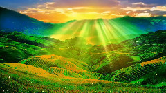 音乐短片 - 我家在瑶山