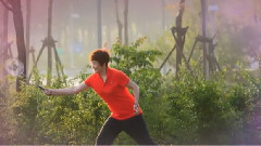 音乐短片 - 潇洒走一回