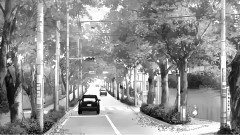 动漫专属 - The One That Got Away