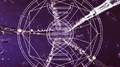 Q-Dance - The Source Code of Creation