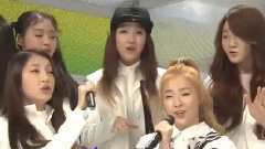 The Ark - Interview