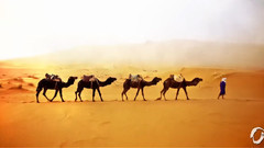 音乐短片 - And Caravan Moves On