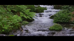音乐短片 - 绿色溪流