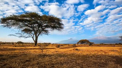 音乐短片 - Gusii song