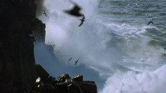 音乐短片 - 加拉帕戈斯群岛