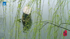 音乐短片 - 湖山晴雨