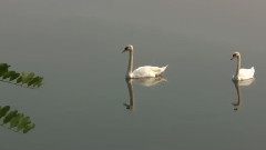 音乐短片 - 山溪