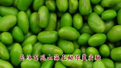 原创 - 乐沐东风