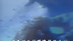王杰 - 忘记你不如忘记自己