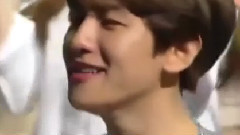 边伯贤(EXO),EXO - 边伯贤