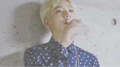 BEAST - Suite room
