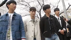CNBLUE - 演艺家中介 CNBLUE游击约会