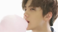 EXO,吴世勋(EXO),EXO-K - Butterfly 世勋生日贺频