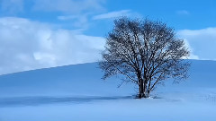 音乐短片 - 追忆