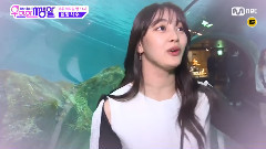 TWICE - 优雅的私生活 送给未来男友的话