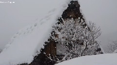 音乐短片 - Star Of The County Down