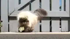 音乐短片 - Крутышка