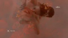 音乐短片 - Wild Roses