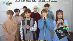 GOT7 - 音乐银行采访