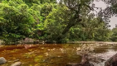 音乐短片 - 纽西兰壮丽风光