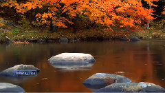 New - La Boheme (Amazing Violin Music)