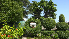 音乐短片 - 澳门的历史中心