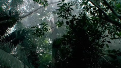 音乐短片 - The Real King