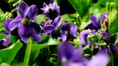 音乐短片 - Time Laps Amazing Nature