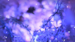 New - A Heart Full of Hope