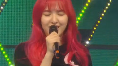 Red Velvet - Cool Hot Sweet Love & 7月7日