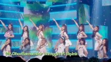 Apink - Mr. Chu+Remenber - MBC音乐中心 现场版 16/04/16