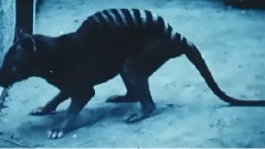 影视原声 - <猎人>制作特辑之Does