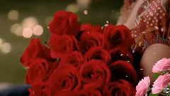New - Book Of Roses