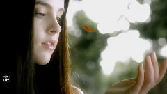 New - Flight of the Butterfly