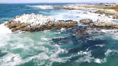 音乐短片 - 美丽的海岸加利福尼亚州蒙特雷