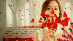 New - The Color Of Love