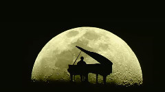 音乐短片 - A Gentle Place