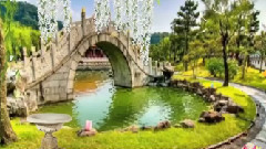 音乐短片 - Пролетно пробуждане