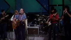 Willie Nelson - Always On My Mind