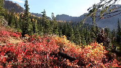 音乐短片 - 蓝色的湖-北叶栅