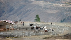 音乐短片 - 秋天在太阳山旅馆温思罗普瓦
