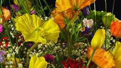 音乐短片 - I Almost Lost My Mind