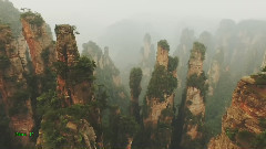 音乐短片 - For Something Lost