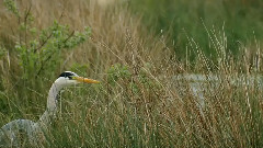 音乐短片 - Warmth Of The Coast