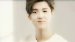 群星,鹿晗,吴世勋(EXO) - 等风也等你