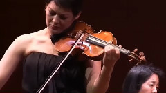 音乐短片 - 圣母颂 提琴超女安梅耶 Anne Meyers 与她的名琴 1697 Molitor