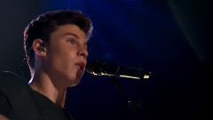 Shawn Mendes - Life Of The Party (The Greek Theatre, LA / 2015) 现场版
